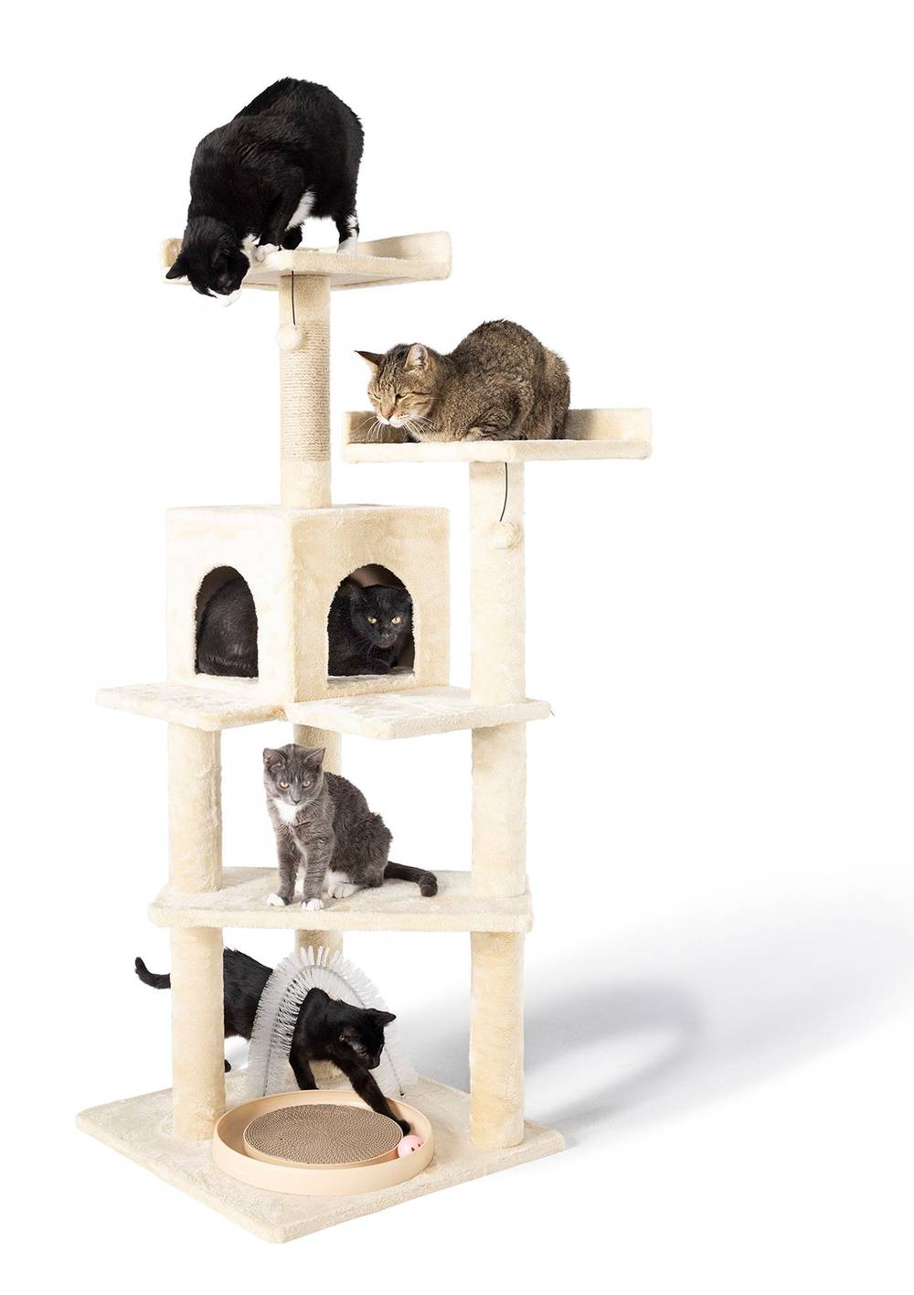 Whisker City® 60-in Playbox, Ball Track with Scratcher Toys Cat Tree (Color: Green)