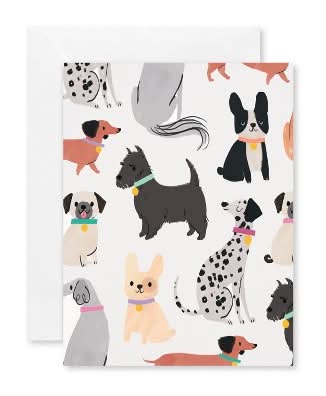 Carlton Cards Blank Envelopes Dogs, Assorted