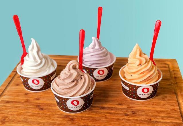 Regular Frozen Yogurt and Treat