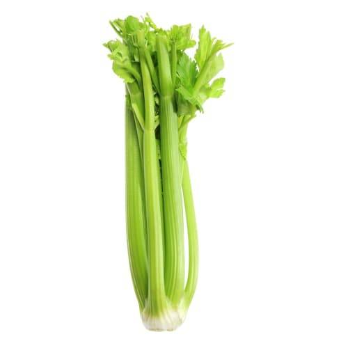 Celery (1 ct)
