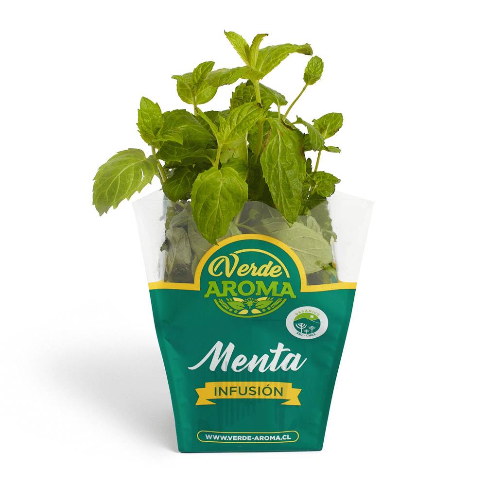 Verde aroma menta orgánica (1 u)