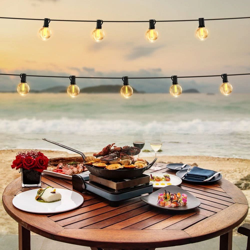 Hampton Bay 12 Light 24 Ft. Indoor/Outdoor Plug-In Led Edison Style String-Light