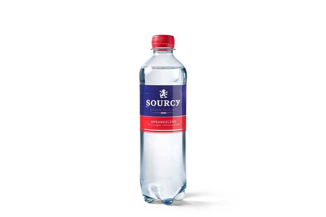 Sourcy Bruisend Water 500ml