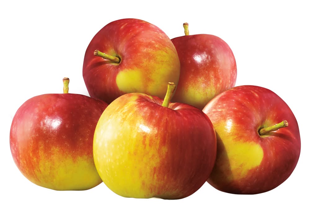 McIntosh Apples, Bag