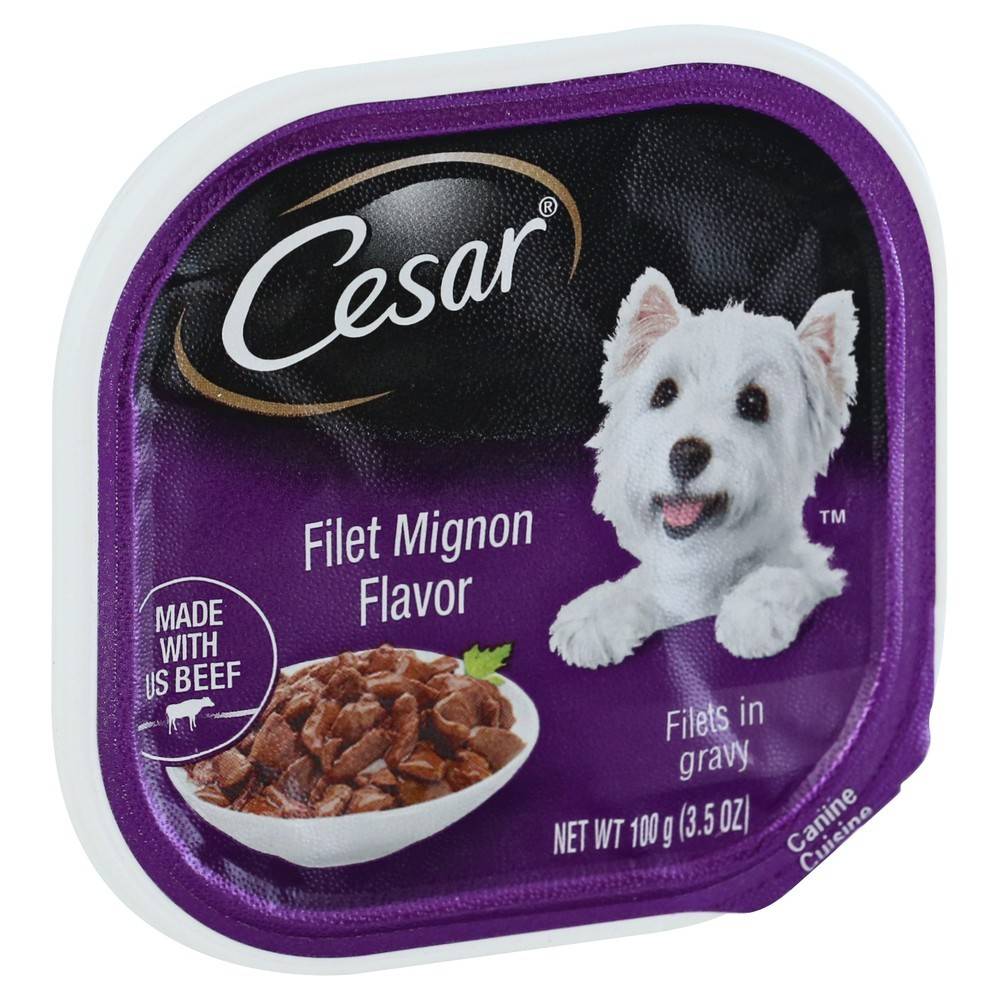 Cesar Filet Mignon Flavor in Gravy Canine Cuisine (3.5 oz)