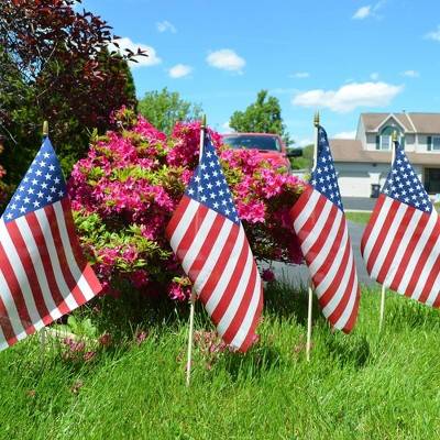 Red and Blue Striped Patriotic American Garden Flags