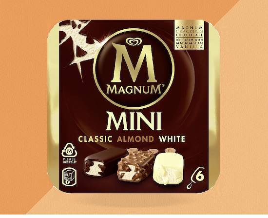 Magnum Mini Classic/Almond/White 6x55ml