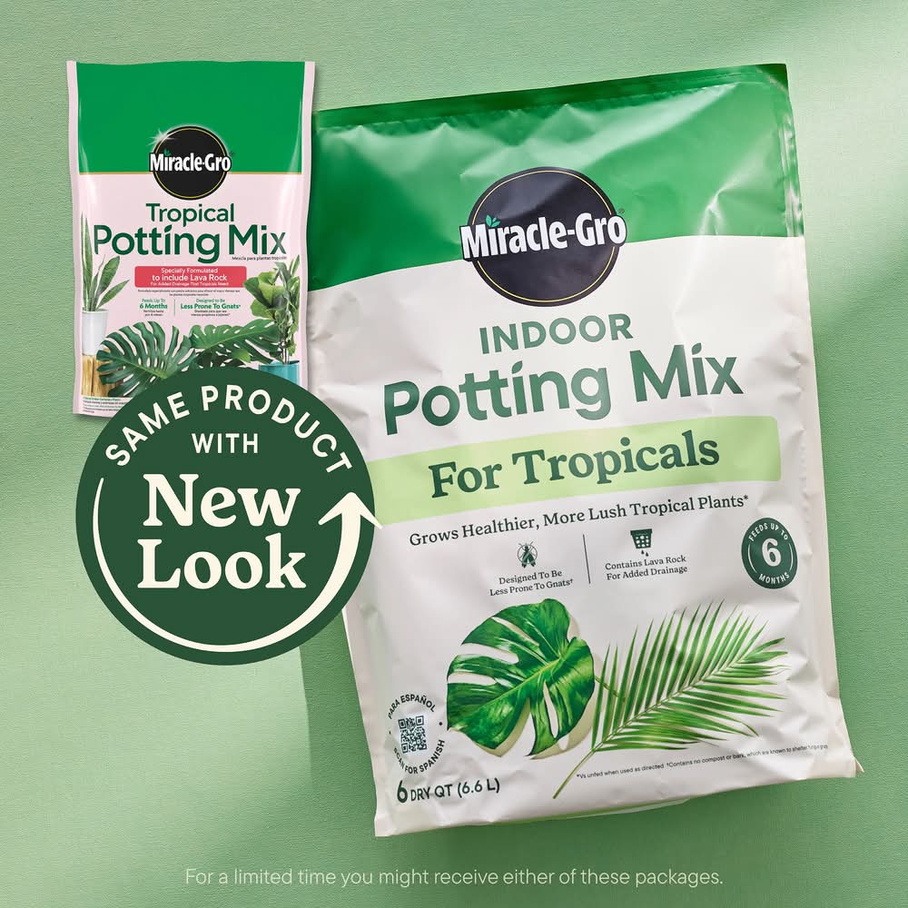 Miracle-Gro Indoor Potting Mix 6 Quart(s) Tropical and succulent Potting  soil mix | Postmates