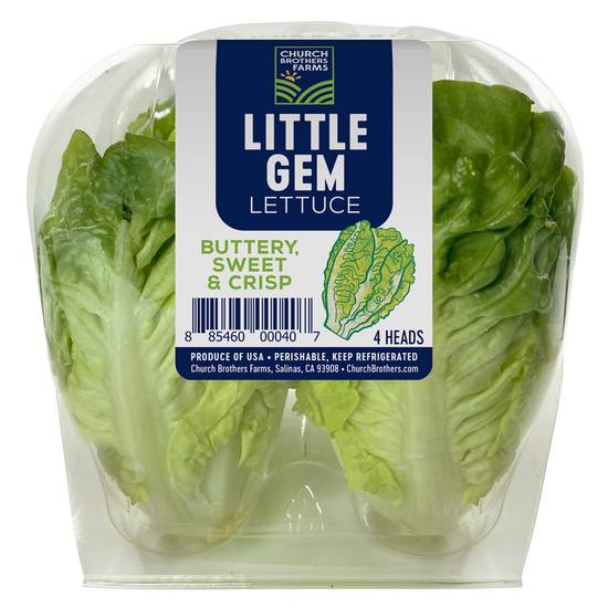 Church Brothers Little Gem Lettuce 4ct