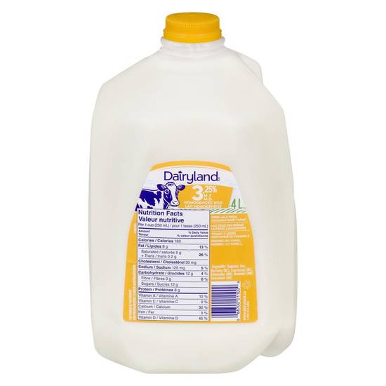 Dairyland Homogenized 3.25% Milk (4 L)