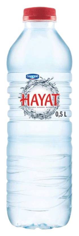 Danone Hayat Mineral Water (500ml)