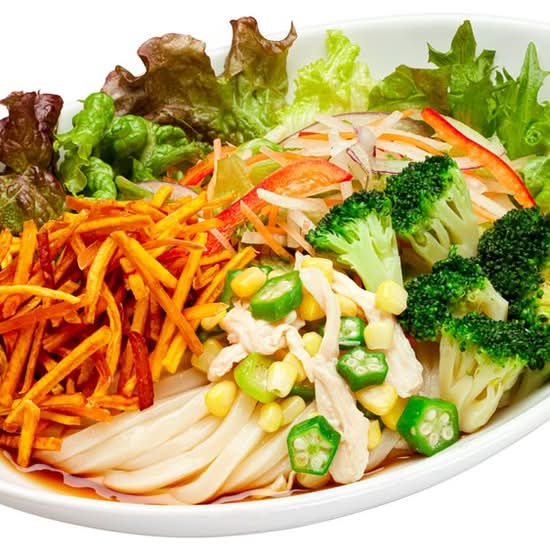 10種野菜のサラダうどん