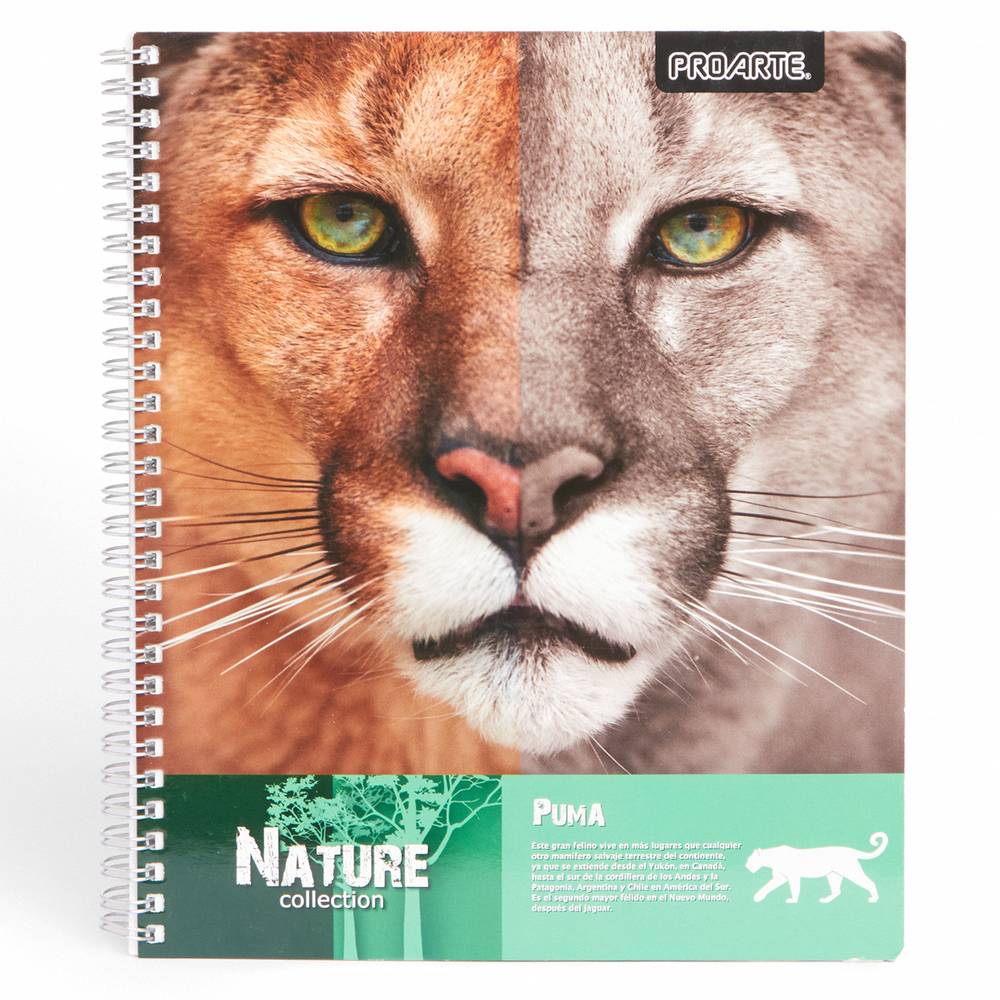 Proarte cuaderno universitario matemáticas animales salvajes (100 hojas)