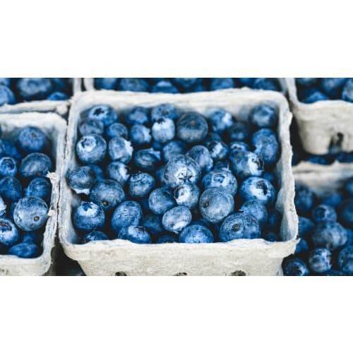 Driscoll's Organic Blueberries