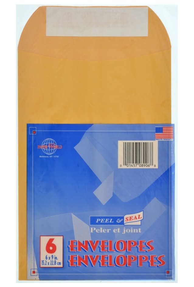 Peel & Seal Kraft Paper Envelopes, 6x9 in (6 ct)