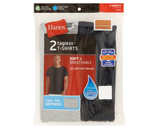 Hanes Tagless T Shirts, Men, Large , Assorted (2 ct)