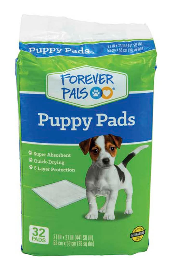 Forever Pals Puppy Pads 21 In X 21 In 32 Ct