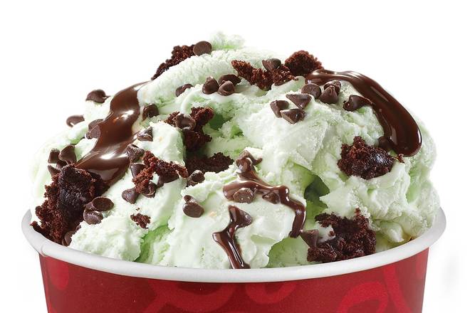 Mint Mint Chocolate Chocolate Chip®