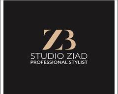 Studio Ziad ( Chicureo)