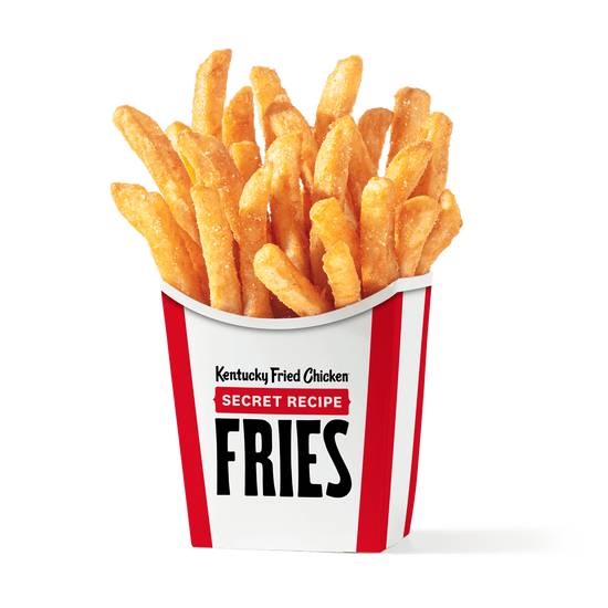 Secret Recipe Fries