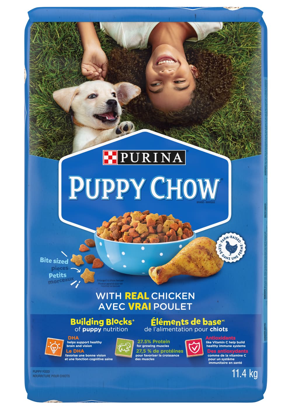 Purina Puppy Chow Dry Dog Food, Chicken, (11.4 kg)