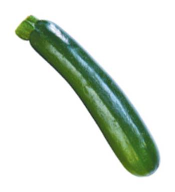 Zucchini Squash 1 Count