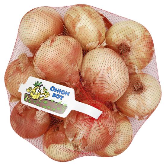 Fresh From the Start Yellow Onions (80 oz)