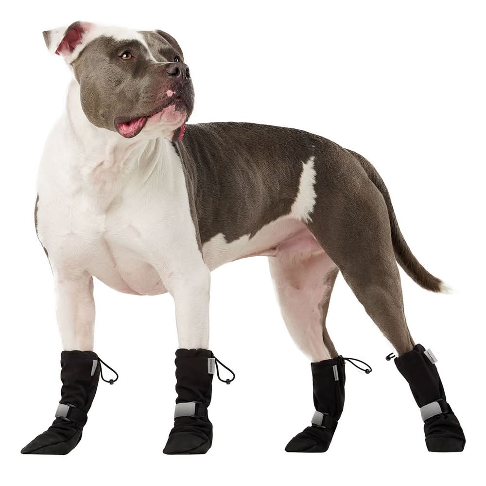 Canada Pooch Soft Shield Boot Black, 5