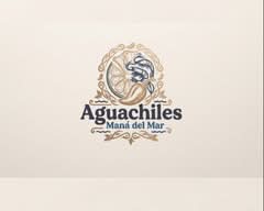 Aguachiles Maná Del Mar (Av los pinos 214)