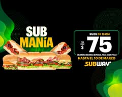 Subway (Las Vías)