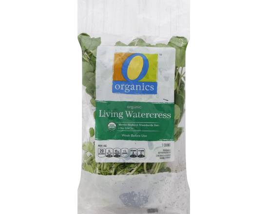 Order O Organics · Living Watercress (1 ct) food online from Safeway store, Butte on bringmethat.com