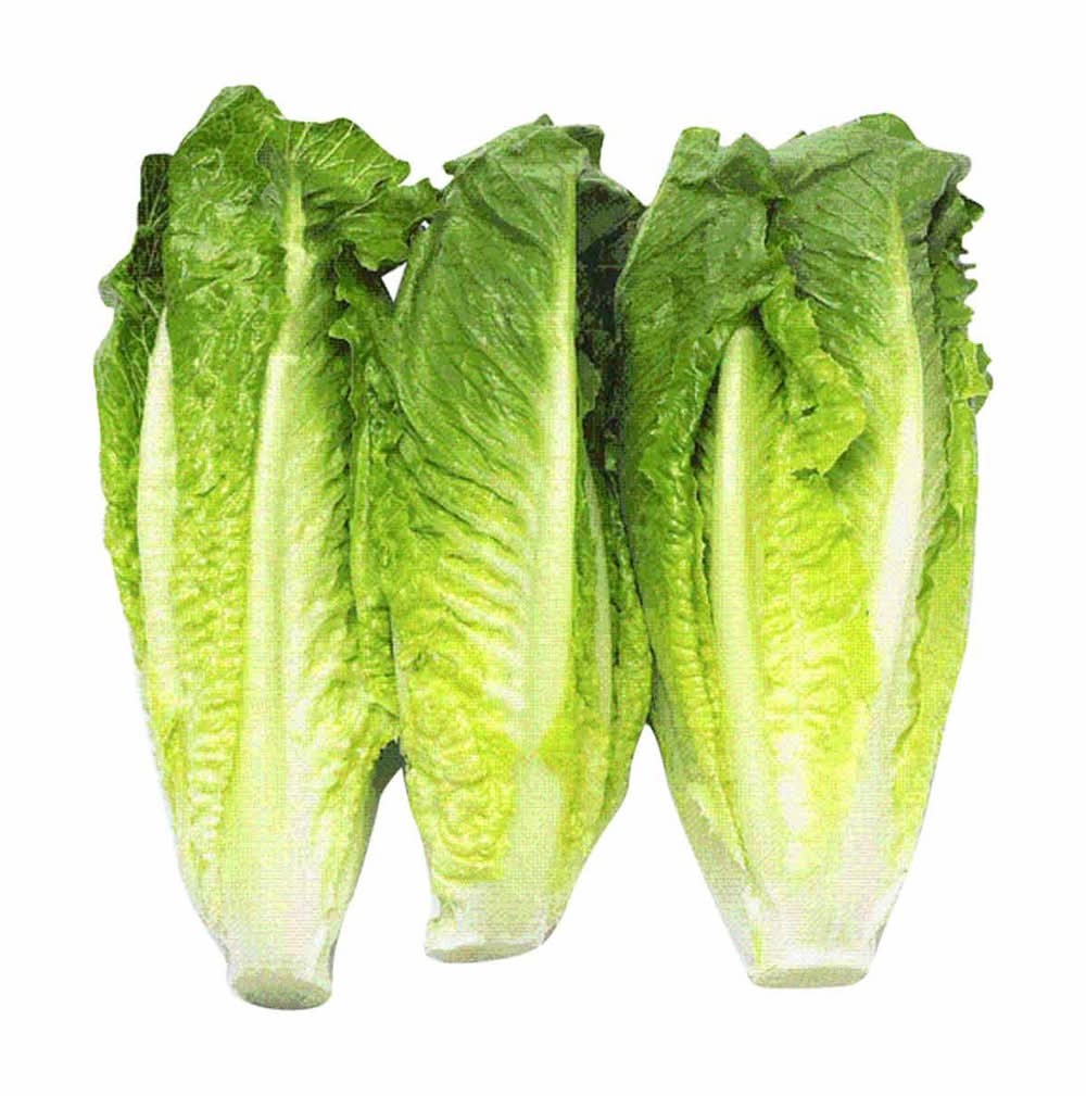 Romaine Lettuce Hearts 3 Ct