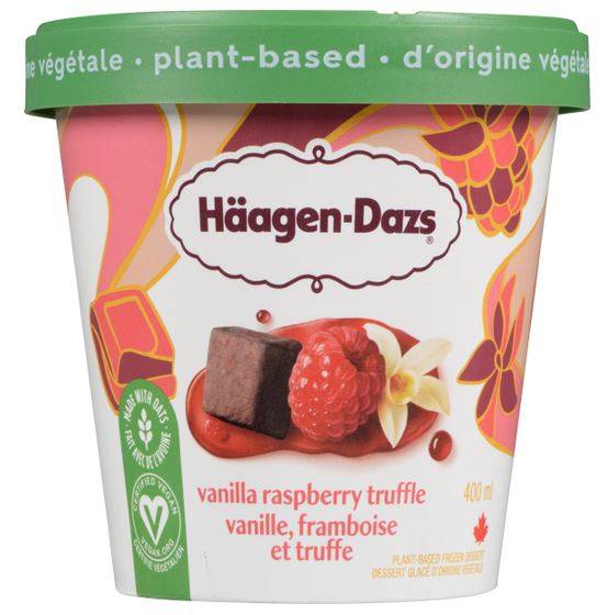 Häagen-Dazs Oat Plant Based Ice Cream, Vanilla Raspberry (400 ml)