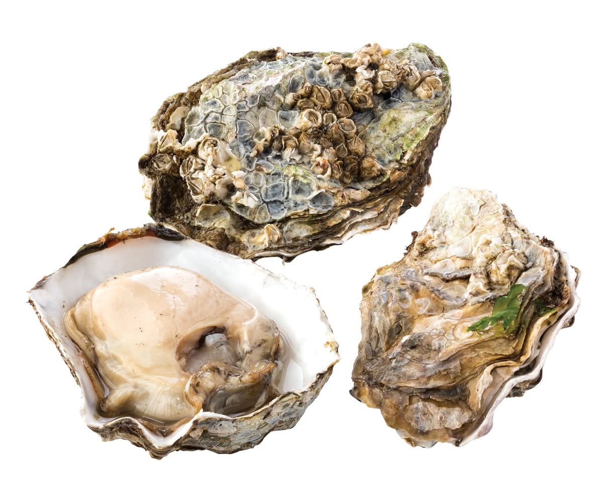 Raley'S Bbq Oysters In The Shell Farm Raised 1 Ea