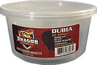 Dragon Lair Dubia Roaches (25 ct)