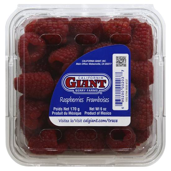 California Giant Berry Farms Raspberries