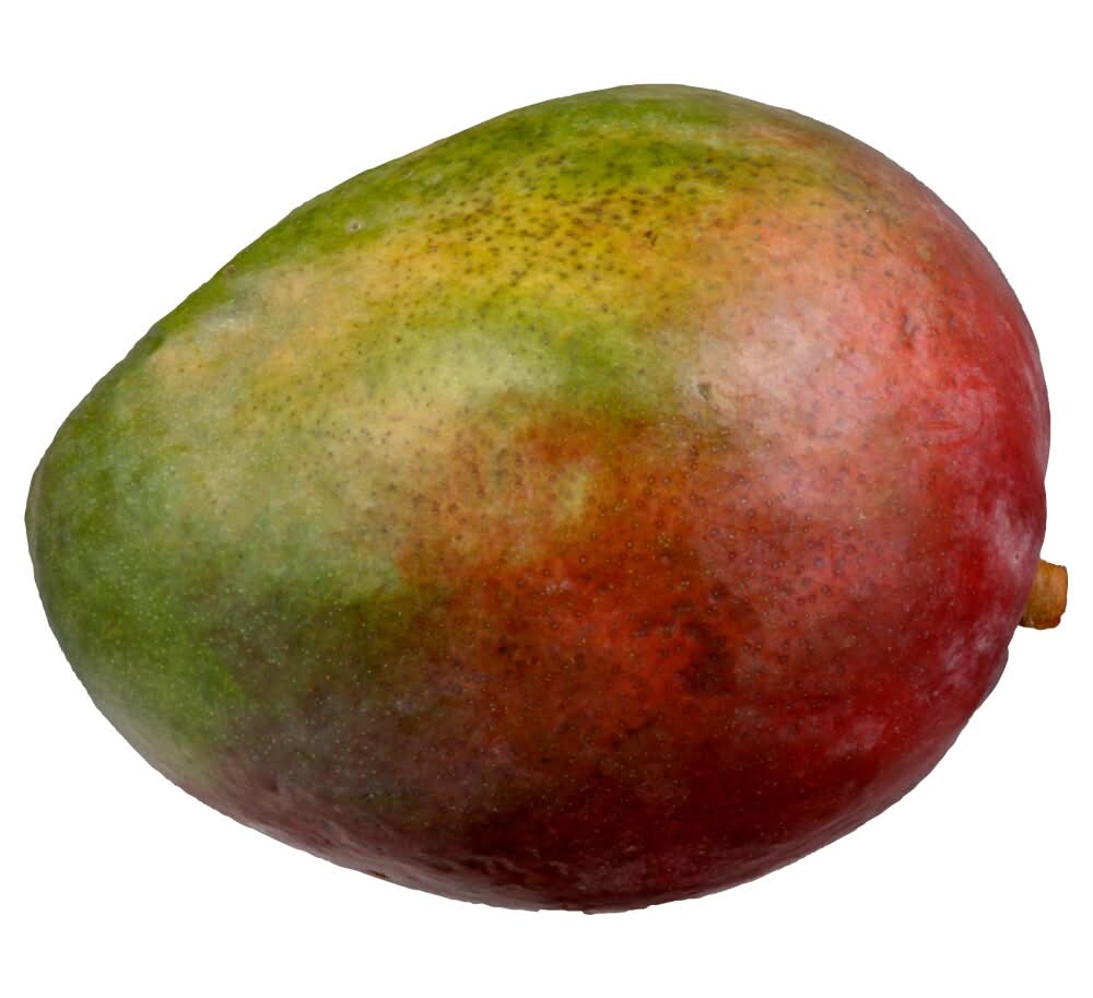 Large Mangos
