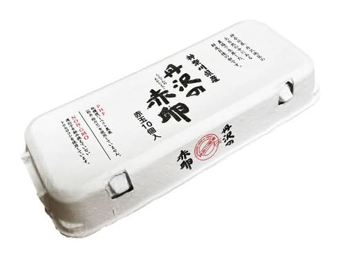 神奈川中央養鶏　丹沢の赤卵　10個入　J-314