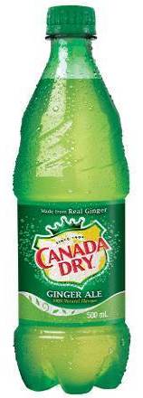 Canada Dry Ginger Ale Soft Drink (500 ml)