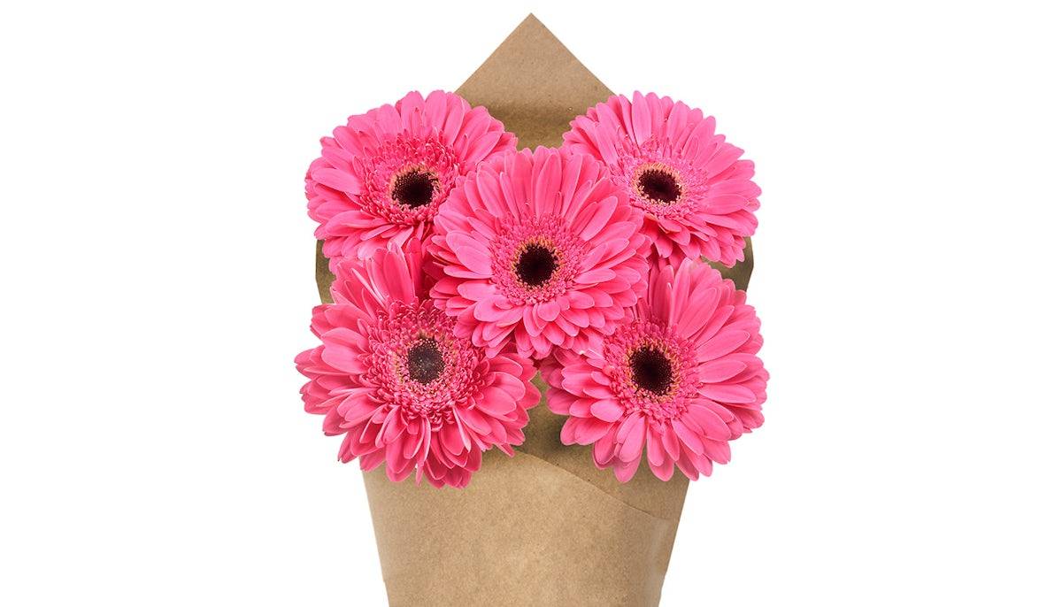 Gerberas Bunch - Pink, 5 stem