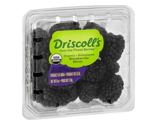 Driscoll's · Organic Blackberries (6 oz)