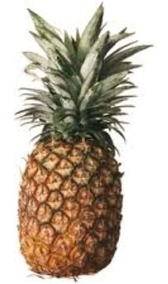 max havelaar ananas extra sucré