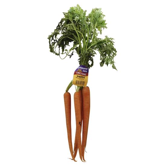 Earthbound Farm Organic Carrots (1 bunch)