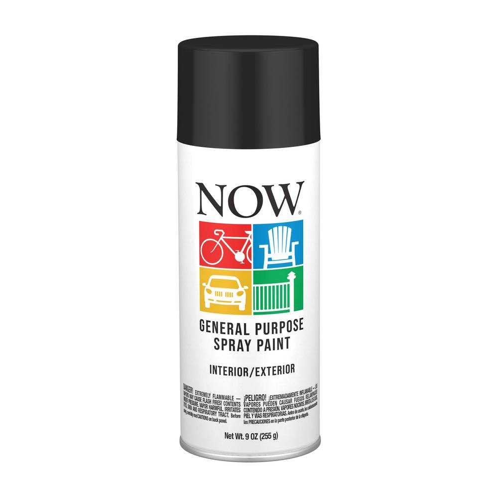 Krylon NOW Flat Black Spray Paint (NET WT. 9-oz) | I21211007