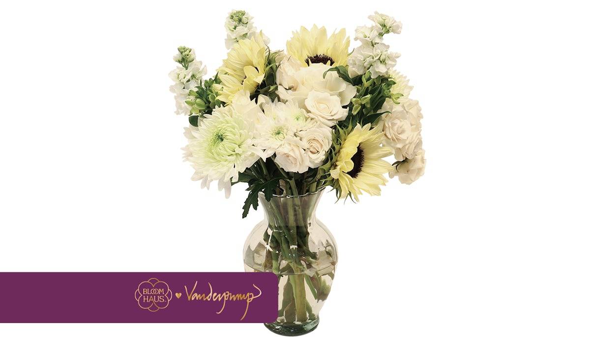 Vanderpump Villa Blanca Arrangement