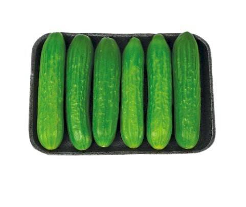 Organic Mini Cucumbers (6 units)