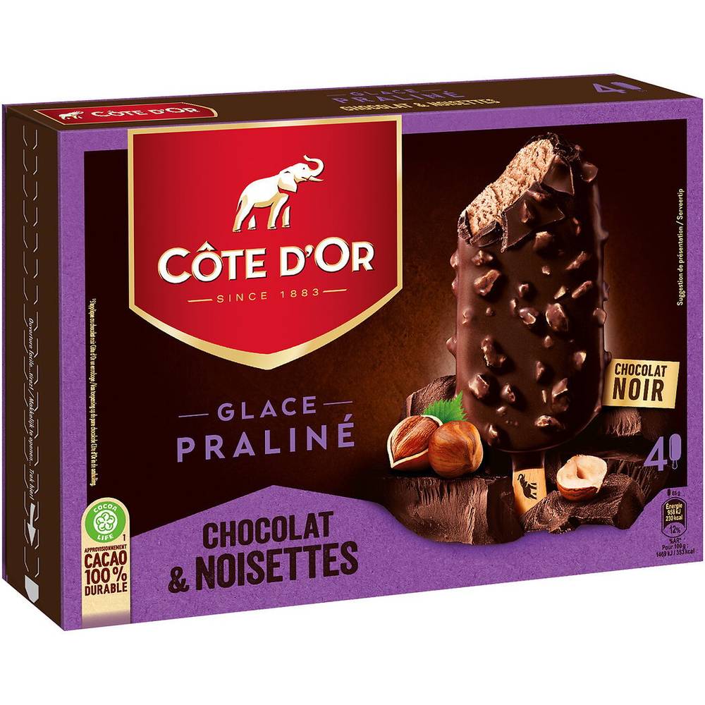 Côte d'Or - Glace praliné, chocolat noir - noisette (4)