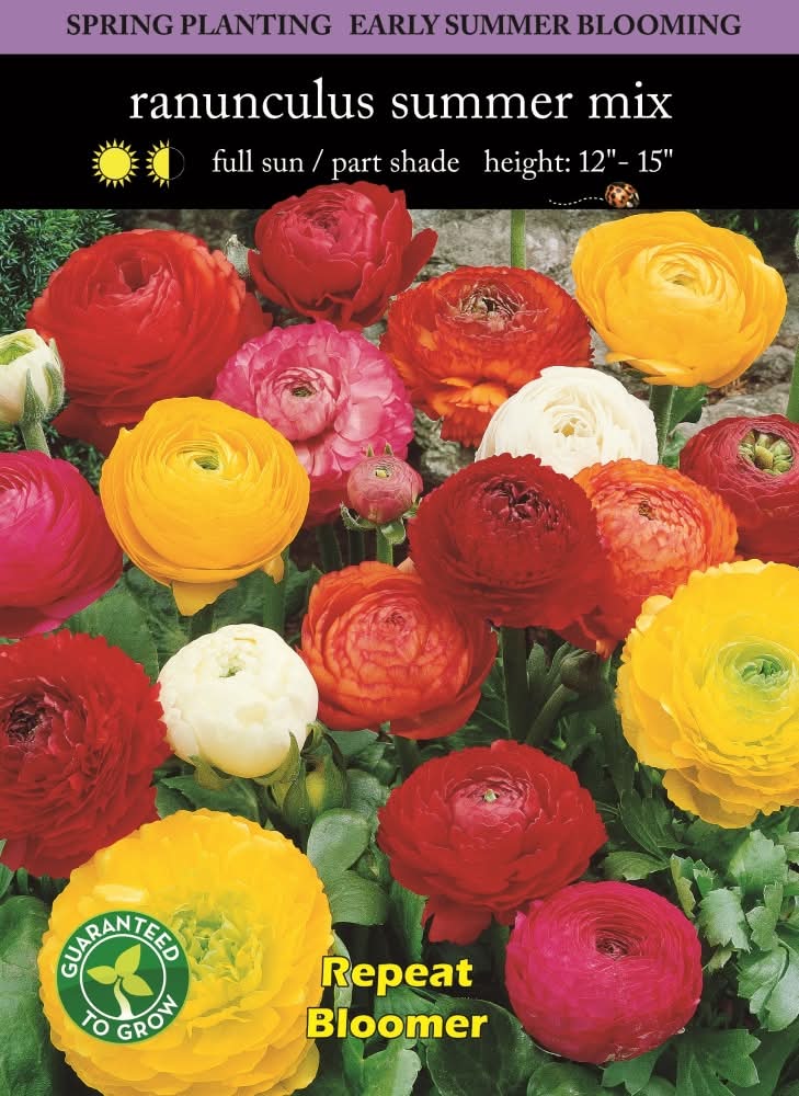 Ranunculus Mix Seeds