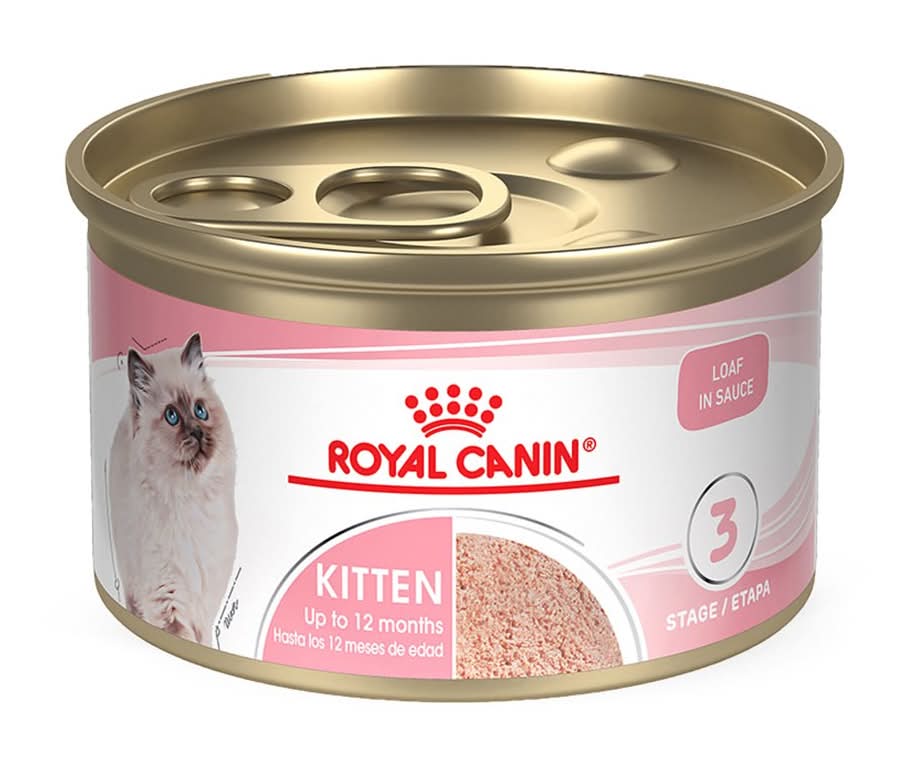 Royal Canin · Alimento húmedo para gatos, Kitten (145 g)