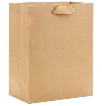 Hallmark Gift Bag For Birthdays and Weddings and Baby Showers